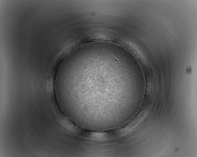 X0000103140457200808291343