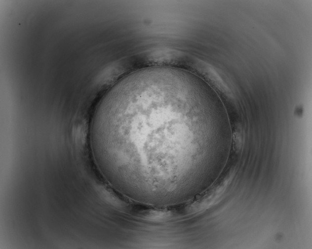 X0000103140458200808291343