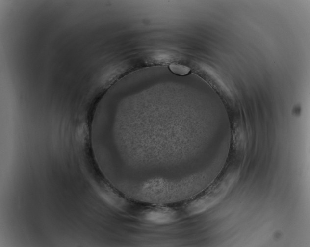 X0000103140459200808291343