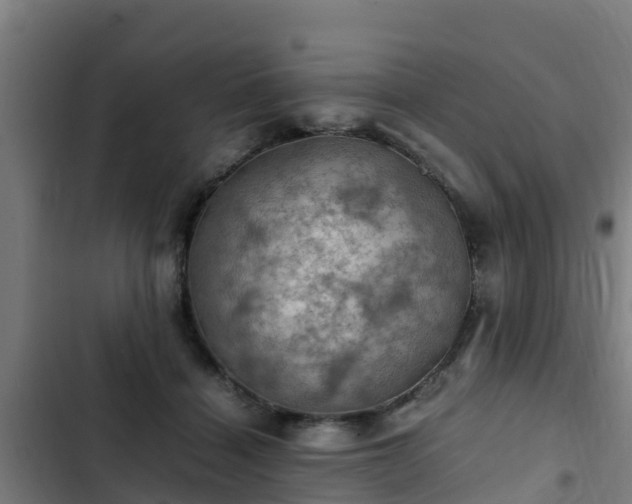 X0000103140460200808291343