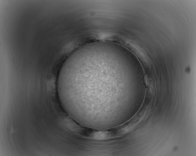 X0000103140461200808291343