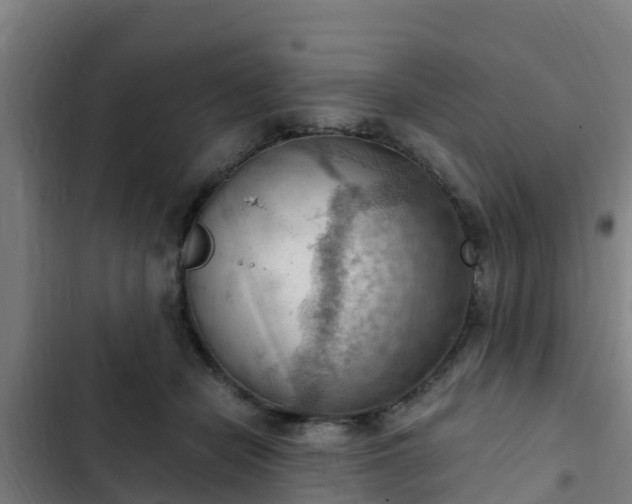 X0000103140462200808291343