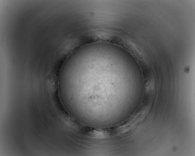 X0000103140464200808291343