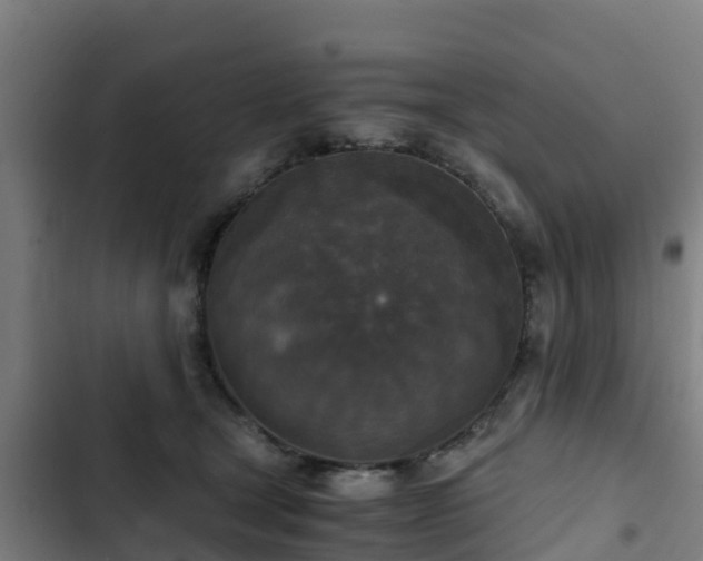 X0000103140465200808291343