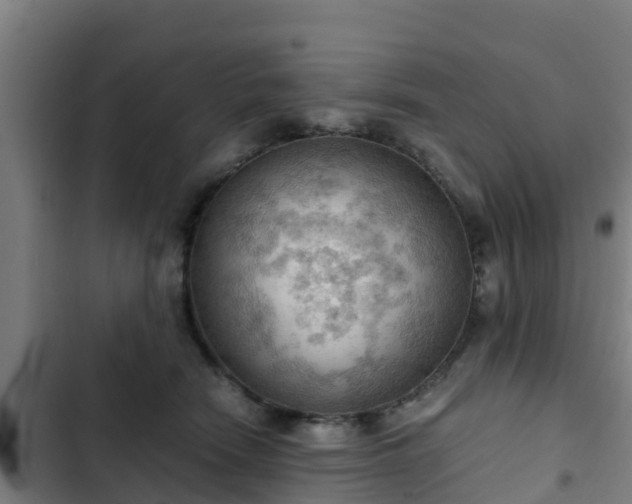 X0000103140466200808291343