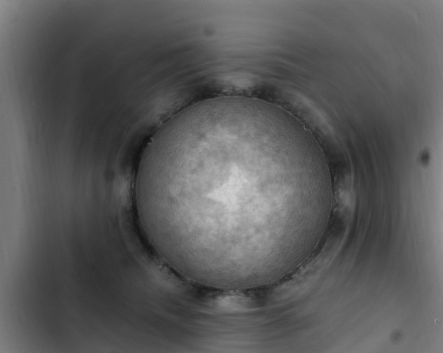 X0000103140468200808291343