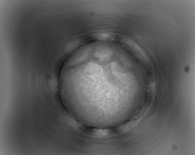 X0000103140469200808291343