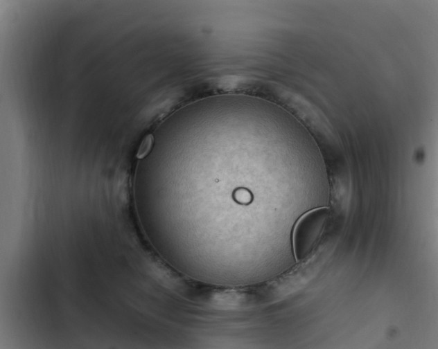 X0000103140470200808291343