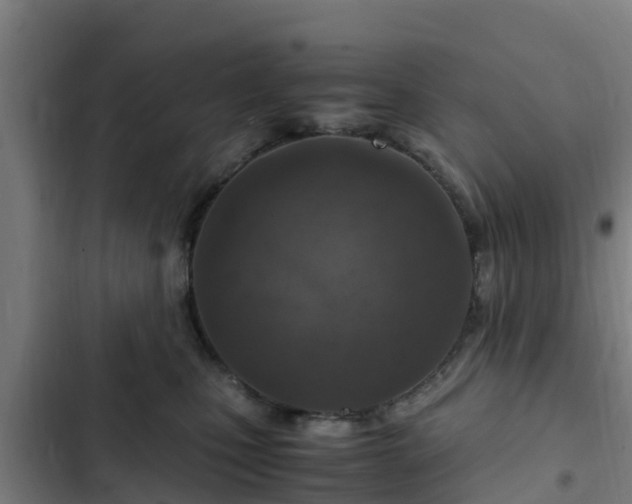 X0000103140471200808291343