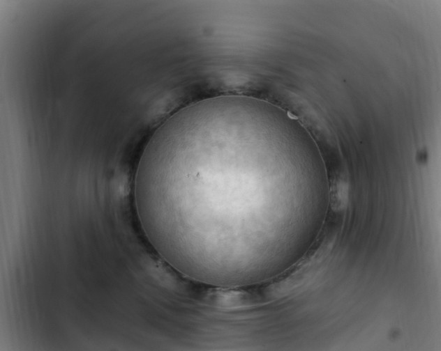 X0000103140472200808291343