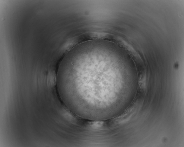 X0000103140474200808291343