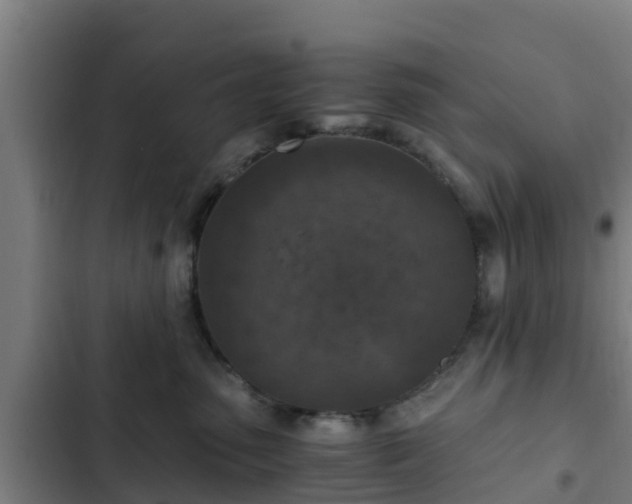 X0000103140475200808291343