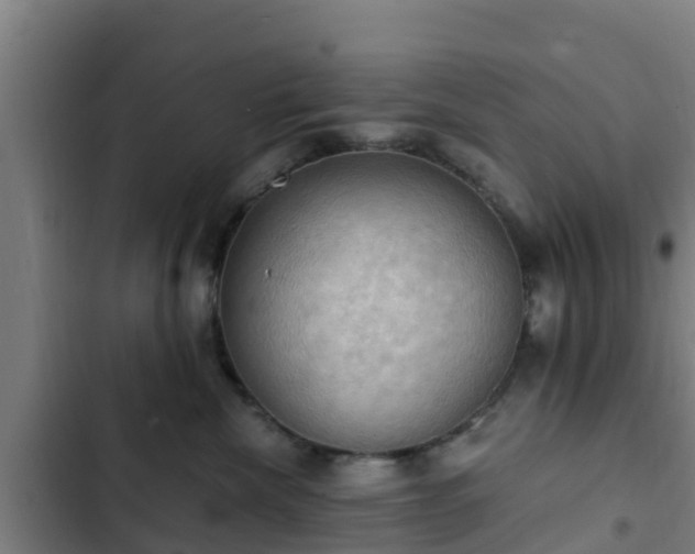 X0000103140476200808291343