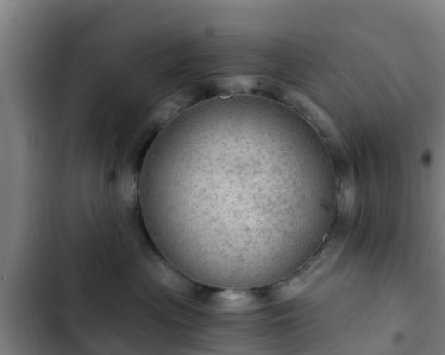 X0000103140477200808291343