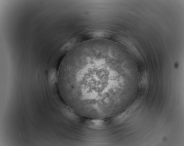 X0000103140478200808291343