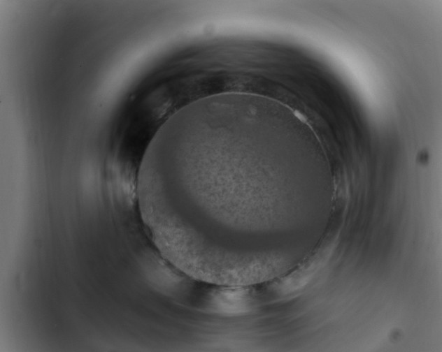 X0000103140479200808291343