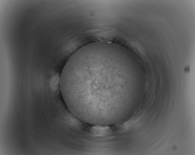 X0000103140480200808291343