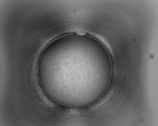 X0000103140481200808291342