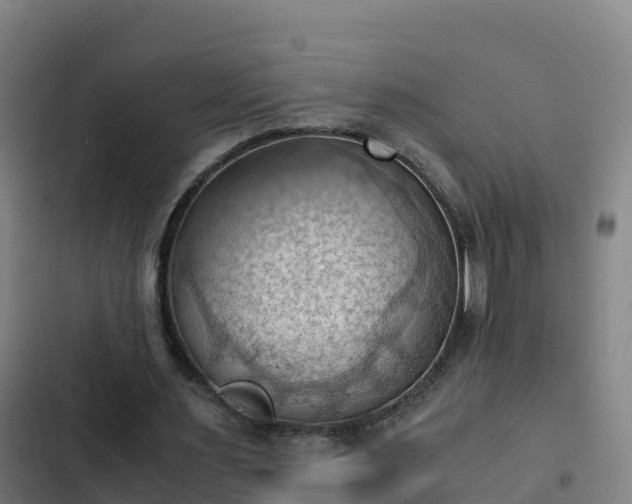 X0000103140483200808291342