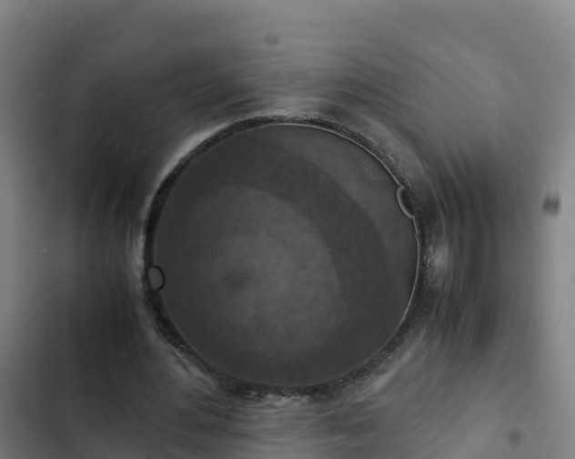 X0000103140484200808291342