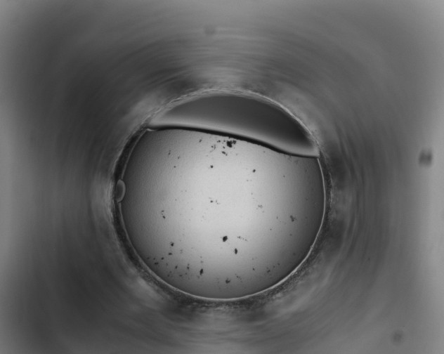 X0000103140485200808291342