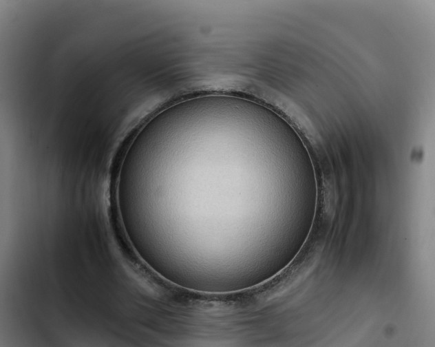 X0000103140486200808291342