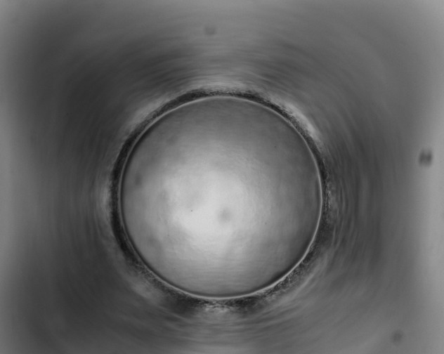 X0000103140487200808291342