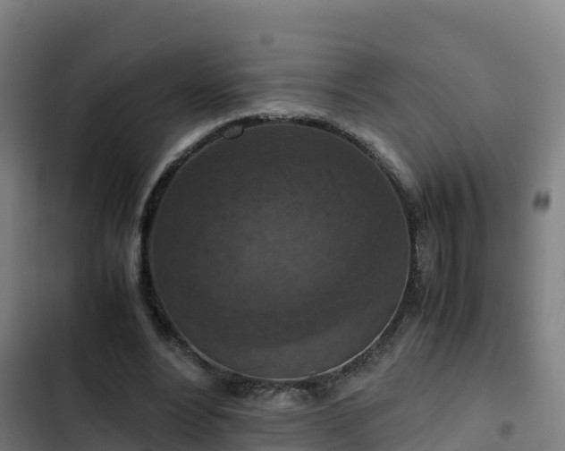 X0000103140488200808291342