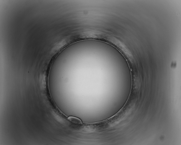 X0000103140489200808291342