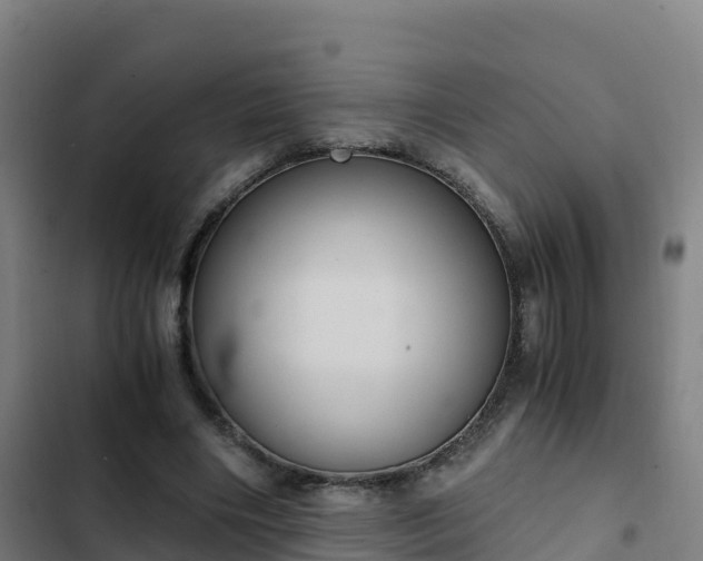 X0000103140490200808291342