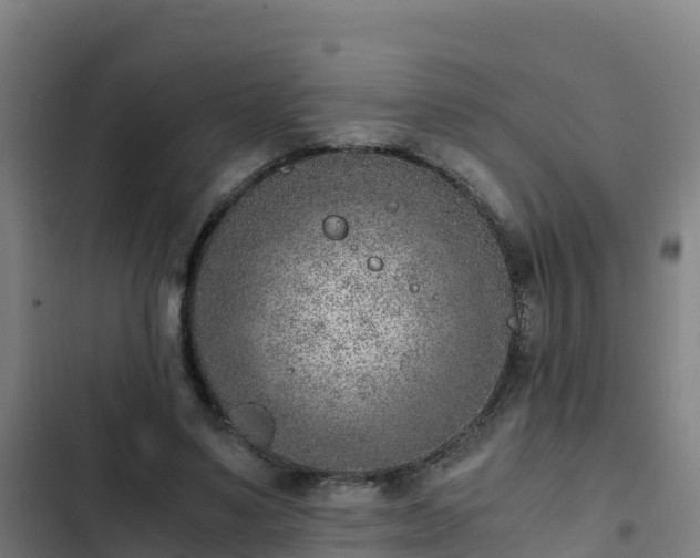 X0000103140491200808291342