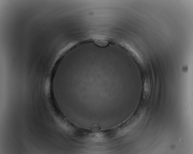 X0000103140492200808291342