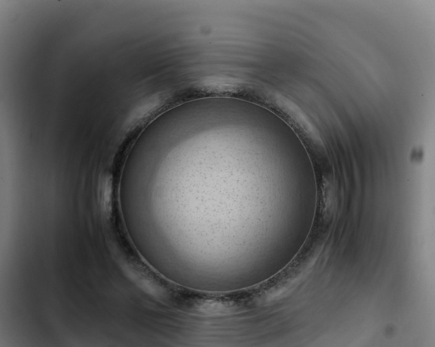 X0000103140494200808291342