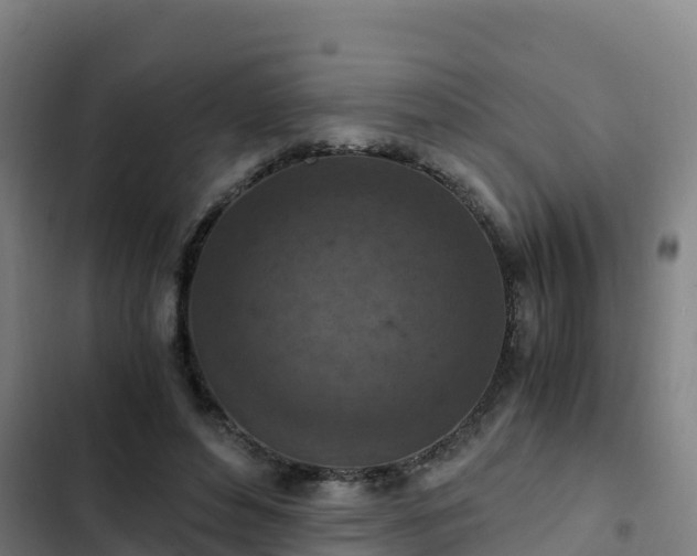 X0000103140496200808291342