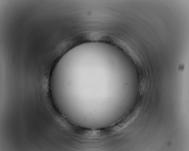 X0000103140497200808291342