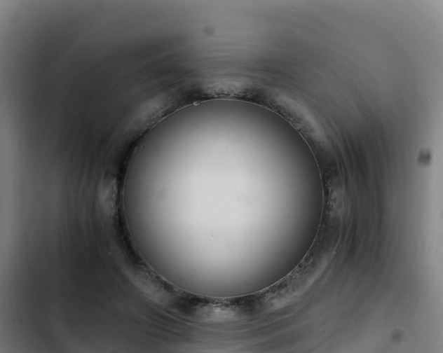 X0000103140498200808291342