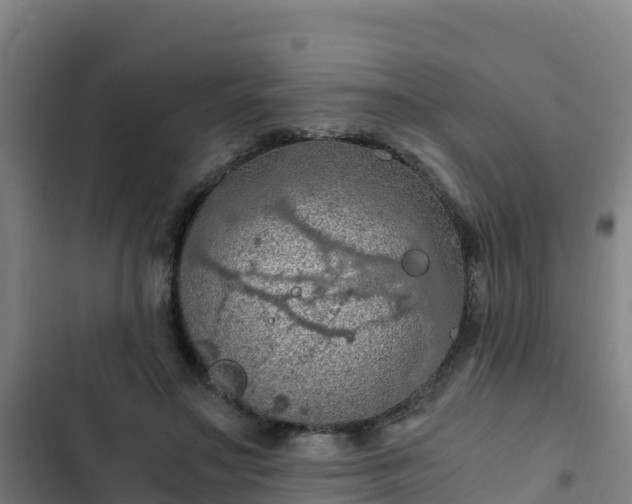 X0000103140499200808291342