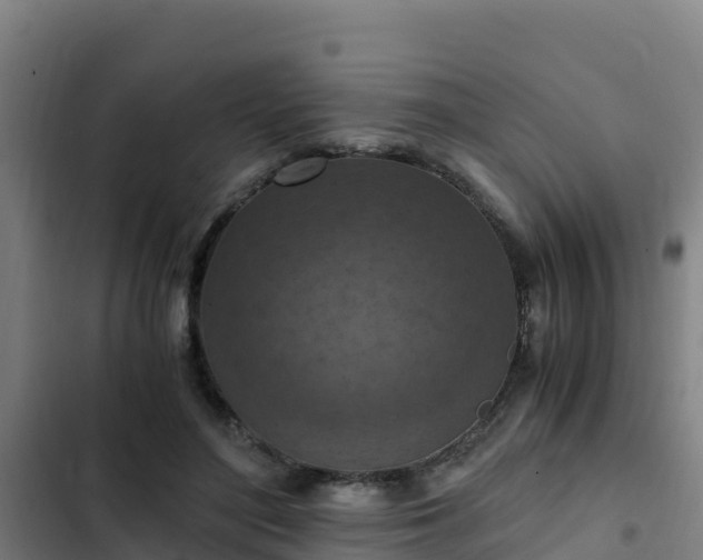 X0000103140500200808291342