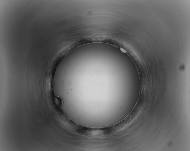 X0000103140501200808291342