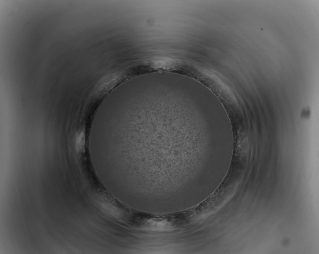 X0000103140502200808291342