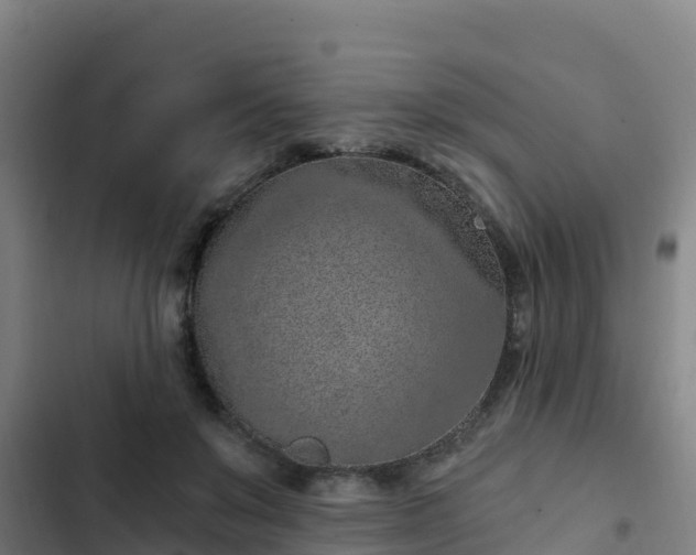 X0000103140503200808291342