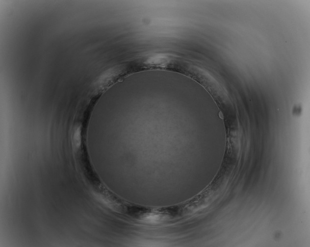 X0000103140504200808291342