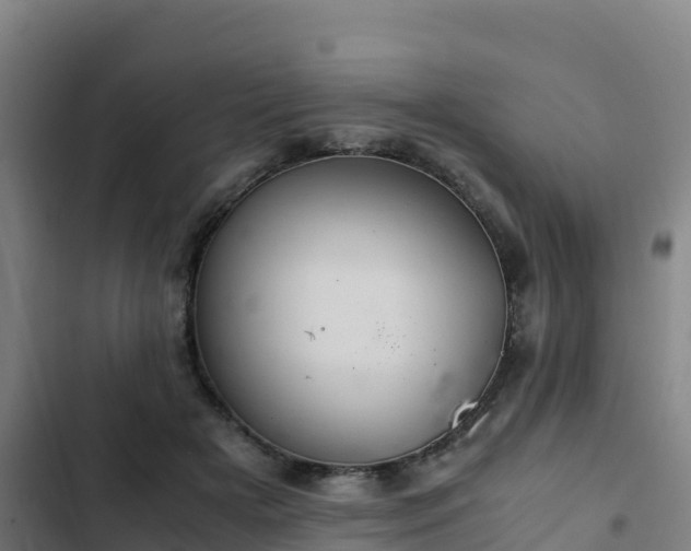 X0000103140505200808291342