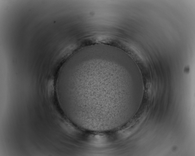 X0000103140506200808291342