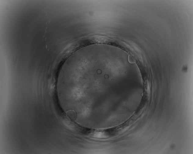 X0000103140507200808291342