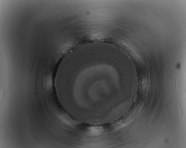 X0000103140508200808291342