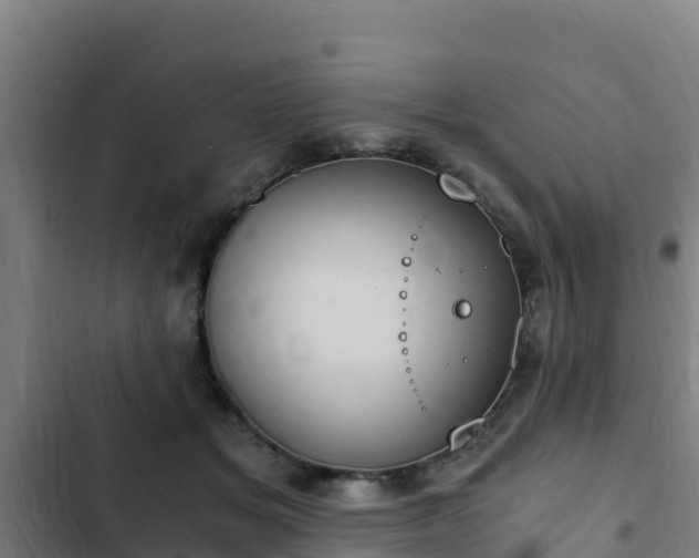 X0000103140509200808291342