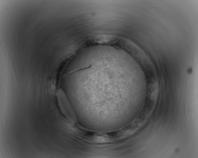 X0000103140510200808291342