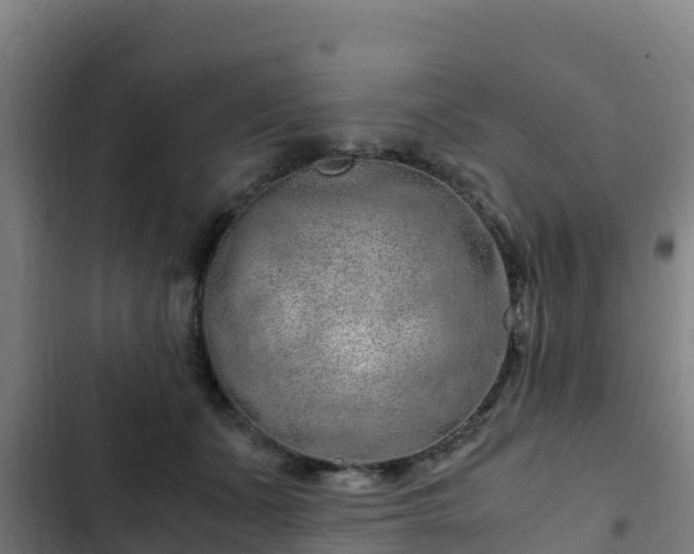 X0000103140511200808291342