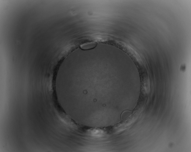 X0000103140512200808291342